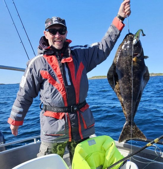 Skrolsvik - halibut