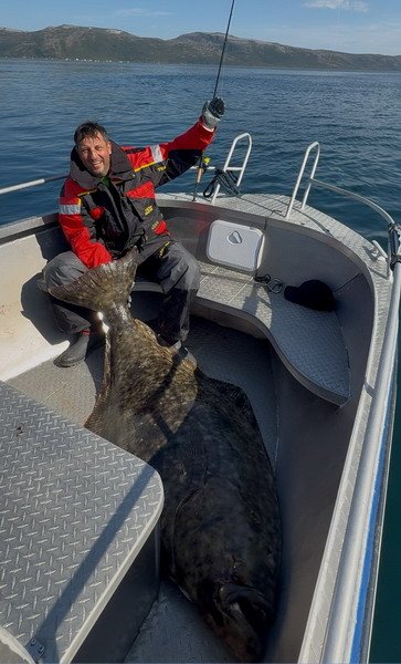 Halibut 191 cm z Ringvassoy Halibut 191 cm z Ringvassoy