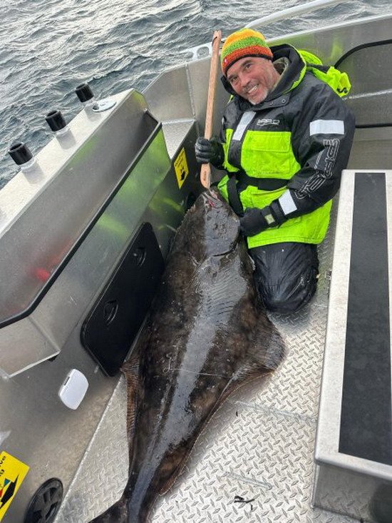 Buroysund - halibut 165 cm Buroysund - halibut 165 cm