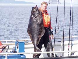 Halibut - Finnmark