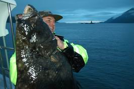 Halibut 30 kg