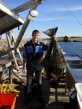 Halibut 25 kg, Hasvag, cerven