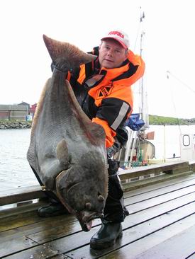halibut - 120 cm, lovec Pavel Kotous halibut - 120 cm, lovec Pavel Kotous