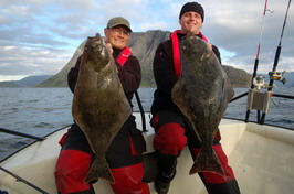 halibuti, Finnmark, srpen halibuti, Finnmark, srpen