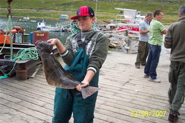 halibut - maly halibut z kraje Finnmark halibut - maly halibut z kraje Finnmark