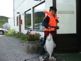 halibut uloveny z mola na ostrove Seiland halibut uloveny z mola na ostrove Seiland
