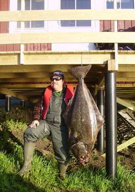 Leines - halibut 28 kg, 1,39 m, kveten 2008 Leines - halibut 28 kg, 1,39 m, kveten 2008