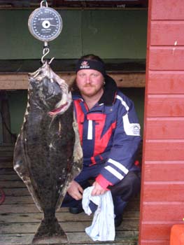 Hestoysund - halibut 1,05 m, 15 kg Hestoysund - halibut 1,05 m, 15 kg