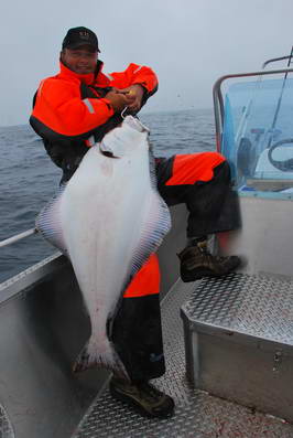 Halibut 121 cm, 20,2 kg, uloven na jighead, 3. cervenec Halibut 121 cm, 20,2 kg, uloven na jighead, 3. cervenec