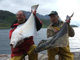 Seiland-halibuti 10 kg, cervenec