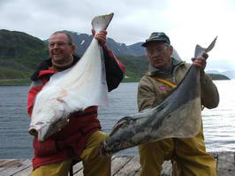 Seiland-halibuti 10 kg, cervenec Seiland-halibuti 10 kg, cervenec