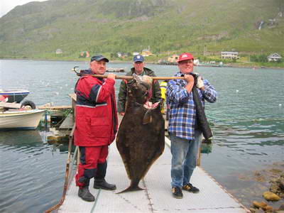 Loppa, halibut 60 kg, 8.srpna Loppa, halibut 60 kg, 8.srpna
