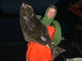 Seiland-halibut 17,5 kg, srpen Seiland-halibut 17,5 kg, srpen