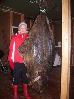 Halibut 62 kg, ulovil majitel chaty Leines (brezen) Halibut 62 kg, ulovil majitel chaty Leines (brezen)