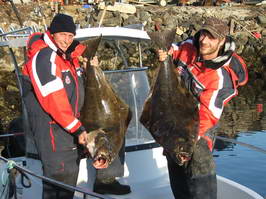 Seiland, halibut 110 a 114 cm (14 a 15 kg) Seiland, halibut 110 a 114 cm (14 a 15 kg)