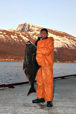 halibut - Lyngenfjord, 17,7 kg