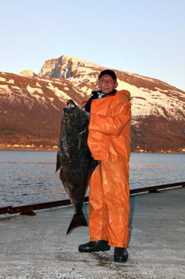 halibut - Lyngenfjord, 17,7 kg halibut - Lyngenfjord, 17,7 kg