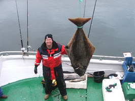 Seiland-kveten, halibut 45 kg, 155 cm
