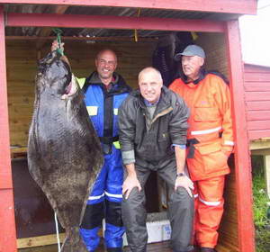 Halibut 160 cm, 50 kg, Hestoysund, cerven Halibut 160 cm, 50 kg, Hestoysund, cerven