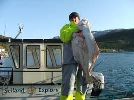 halibut 17,5 kg, cervenec