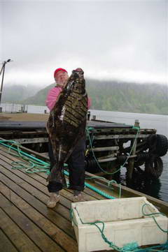 cervencovy halibut z Loppy cervencovy halibut z Loppy