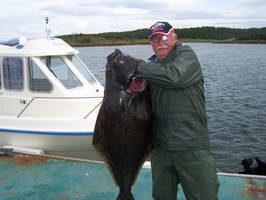 Hestoysund - halibut 25 kg, srpen Hestoysund - halibut 25 kg, srpen