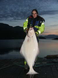 Halibut 31 kg, 140 cm, Seiland, srpen Halibut 31 kg, 140 cm, Seiland, srpen