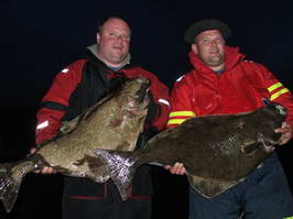 Halibuti 10,5 kg a 12,5 kg Halibuti 10,5 kg a 12,5 kg