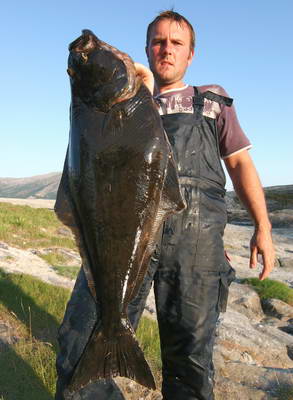 Nordland - halibut 10 kg Nordland - halibut 10 kg