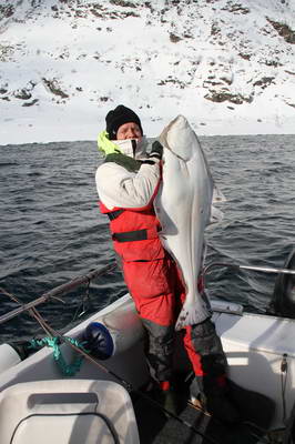 breznovy halibut z kraje Finnmark