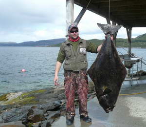 halibut 150 cm, 39,5 kg, ulovil Milan Machac v Ulvangu halibut 150 cm, 39,5 kg, ulovil Milan Machac v Ulvangu