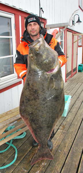 halibut 136 cm, 36,4 kg, lovec Radek Divis