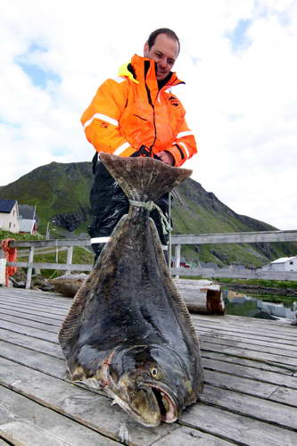 halibut 53 kg, Finnmark. Martin - VIPA-team