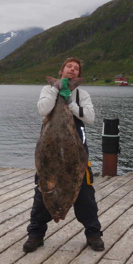 halibut 130 cm, Loppa, cervenec halibut 130 cm, Loppa, cervenec