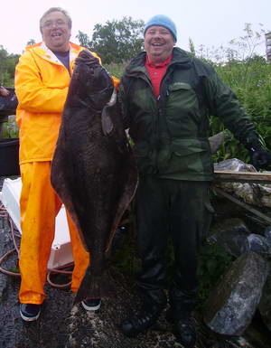 halibut 30 kg, uloveno u Sandnesjoen, červenec halibut 30 kg, uloveno u Sandnesjoen, červenec