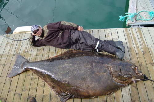 Arnoy, srpen 2010 - halibut 196kg, 245cm, lovec Mariusz Lubkiewicz