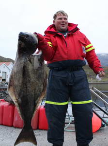halibut 20 kg z Finnmark, zari halibut 20 kg z Finnmark, zari