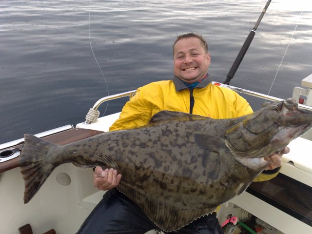 halibut 25 kg, 23. zari