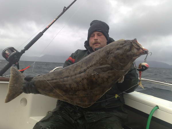 halibut 16 kg, zari, Finnmark