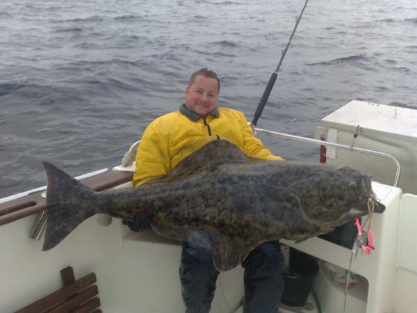 halibut 160 cm, 60 kg, zari, Finnmark halibut 160 cm, 60 kg, zari, Finnmark