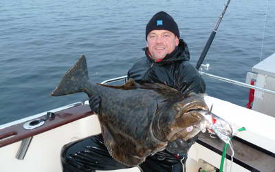 podzimni halibut - rijen