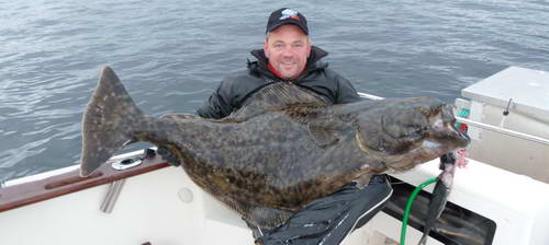 halibut 145 cm, 44 kg, rijen, Finnmark