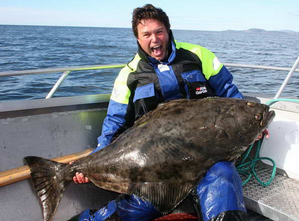 halibut 37 kg, Finnmark, zari halibut 37 kg, Finnmark, zari