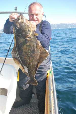 halibutek 80 cm - Finnmark halibutek 80 cm - Finnmark