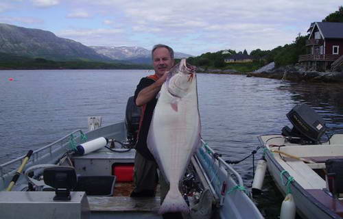 halibut 16 kg