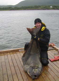 halibut, cervenec, Nordland halibut, cervenec, Nordland