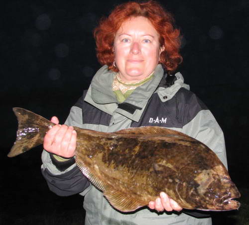 halibut z pobrezi poloostrova Fossen, Trondelag halibut z pobrezi poloostrova Fossen, Trondelag