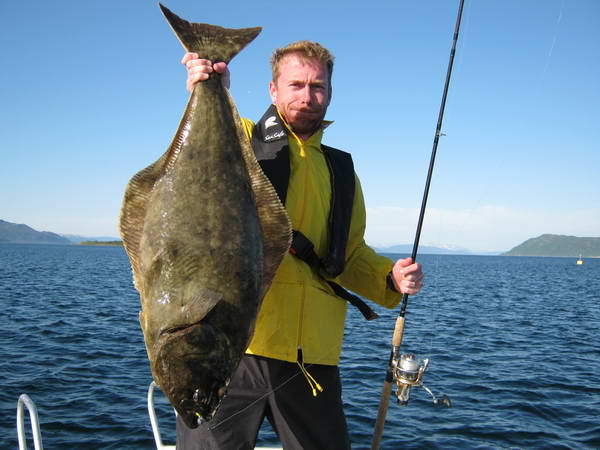 metrovy halibut