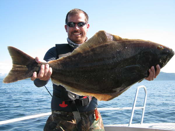halibut 90 cm halibut 90 cm