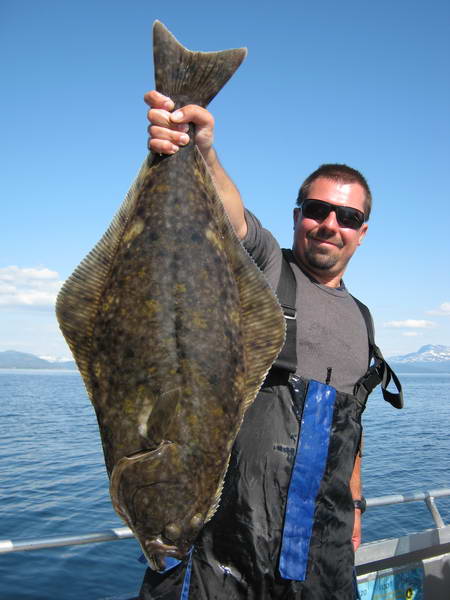 halibut uloveny na privlac halibut uloveny na privlac